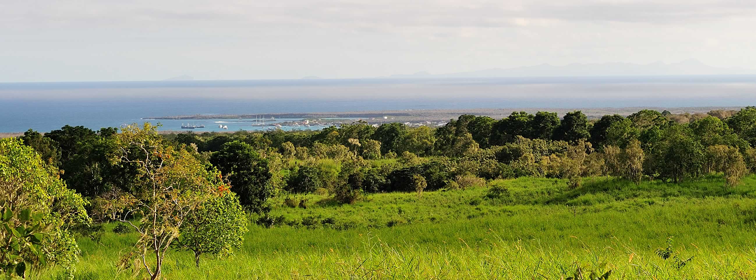 The Galapagos beaches