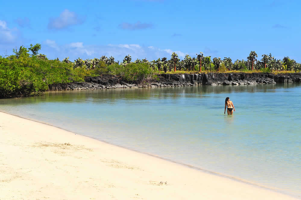 Santa Cruz Island beaches