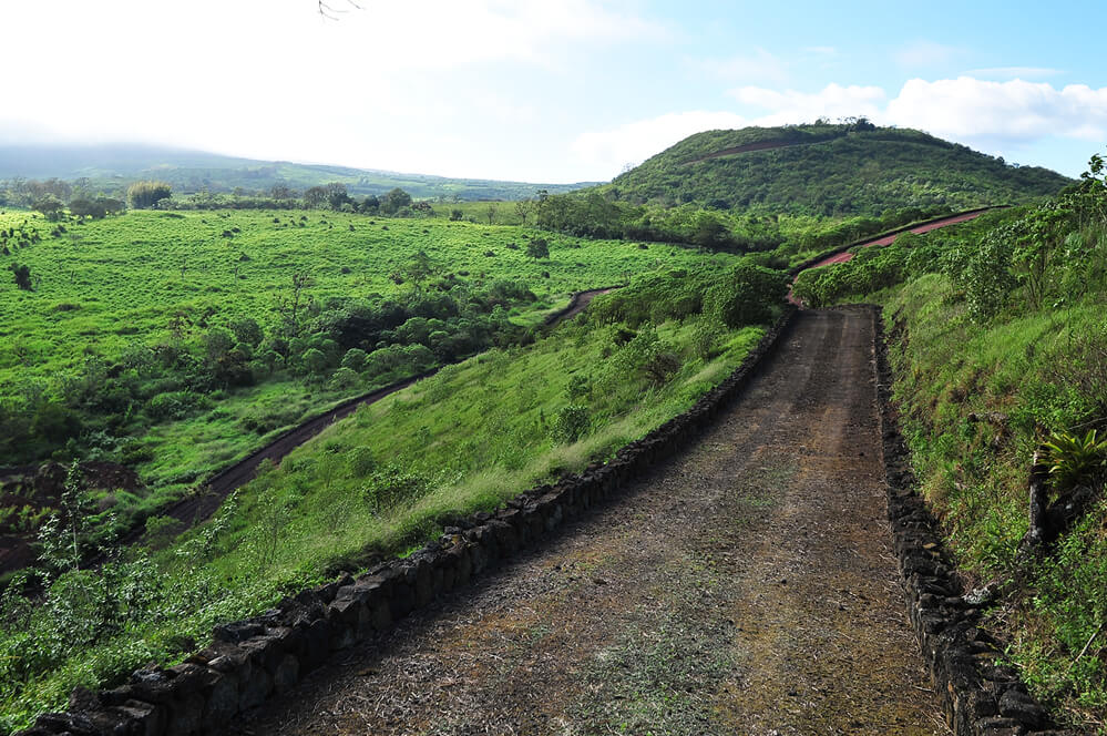 Pikaia biking trails