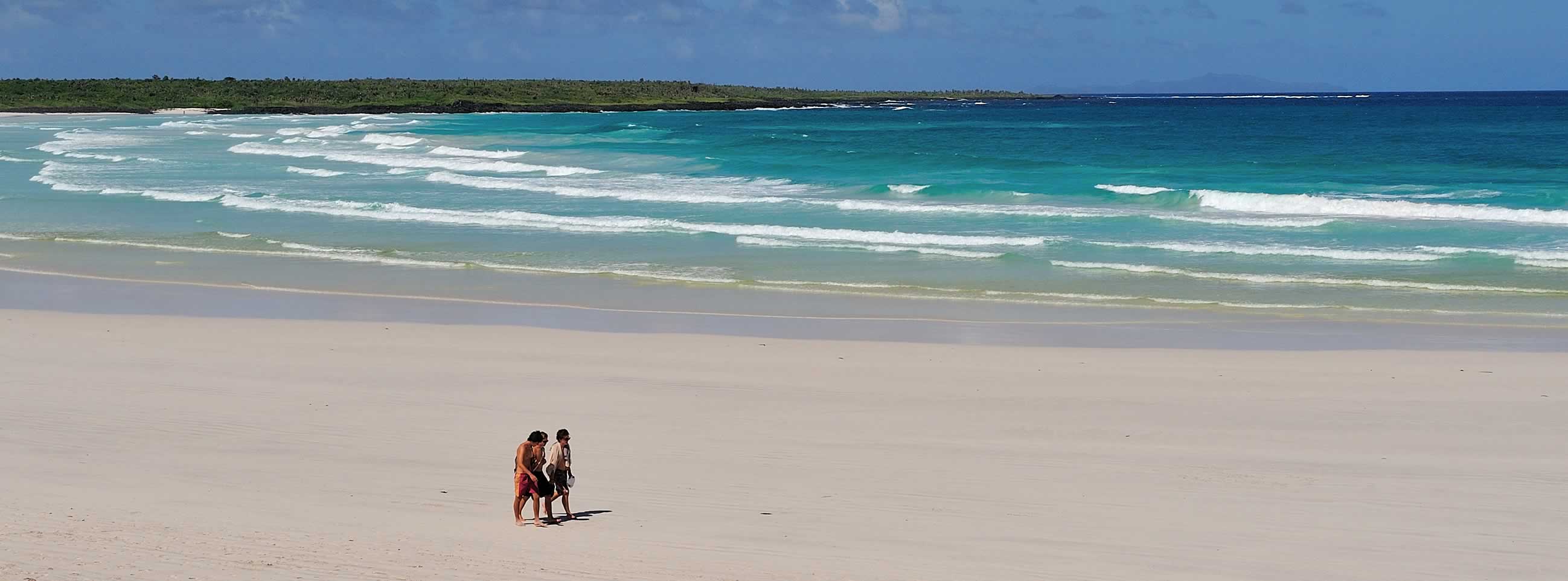 The Galapagos beaches