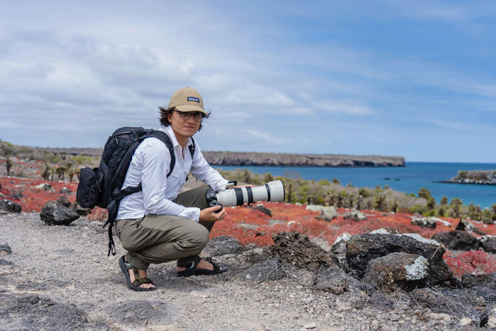 Mastering Wildlife photography