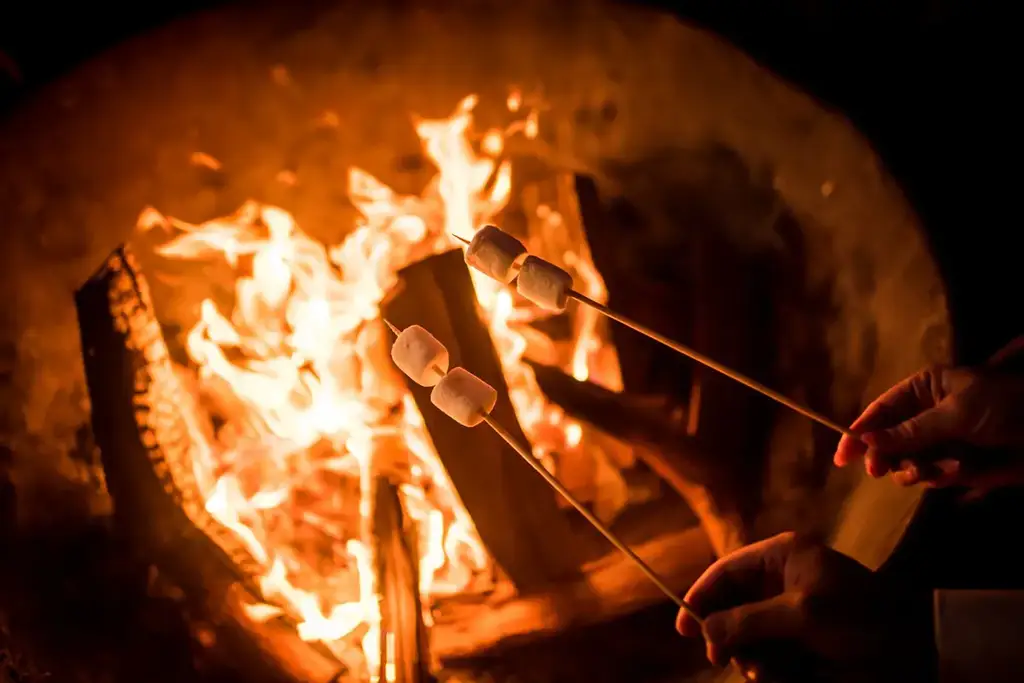 Evening firepit gathering at Pikaia Lodge