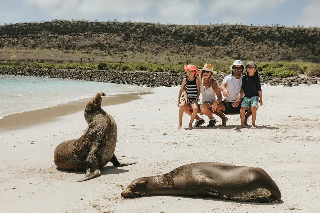 A family watching sea lions on a Galápagos beach