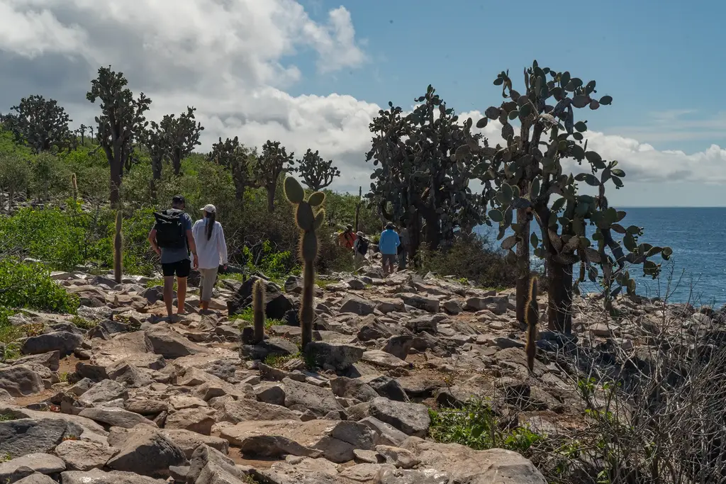 Travelers walking a rocky path among cacti overlooking the Galápagos ocean
