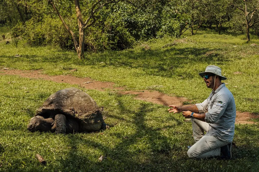 Tortoise encounter