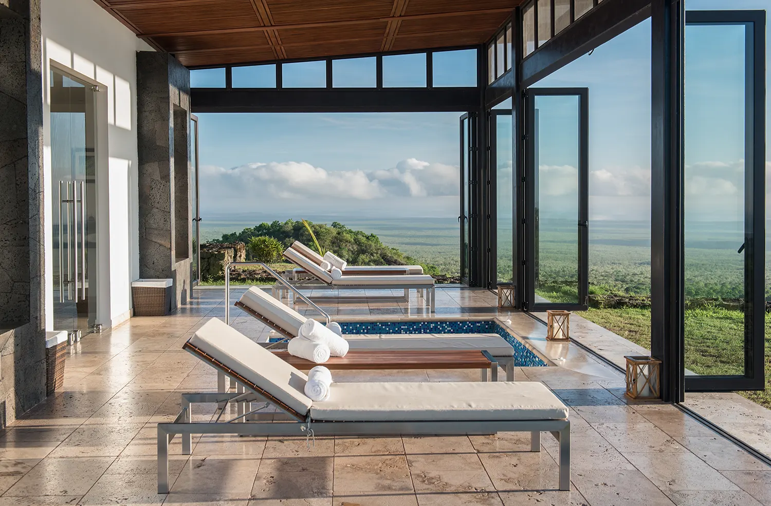 Wellness — 1