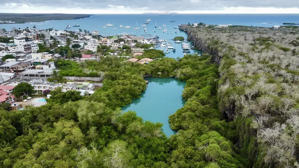 Aerial view of Puerto Ayora and its lagoon