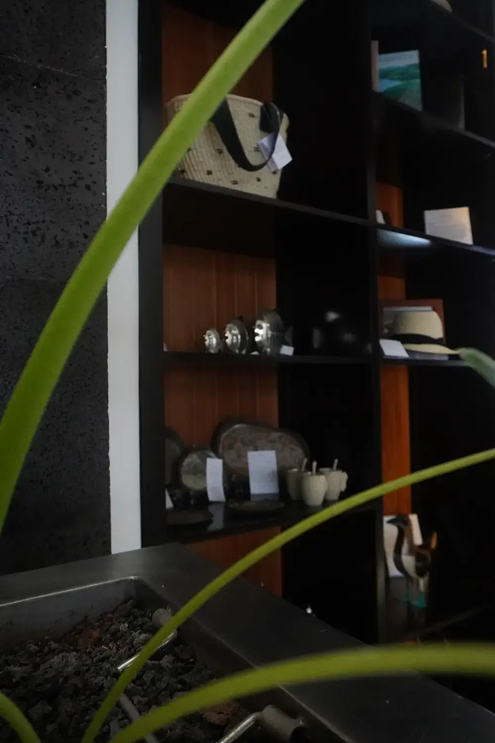 Shelves of books and objects in the Pikaia Boutique